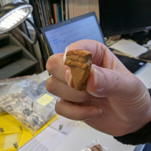 A lid piece of Portuguese redware found in the Seawall excavations of 2021