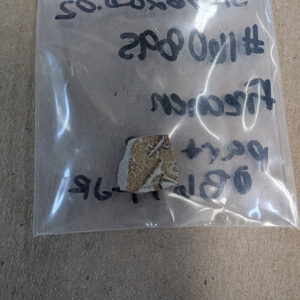 A sherd of a Bartmann jug found in the cellar excavations. This piece is a partial medallion bearing the coat of arms of Maurice, Prince of Orange.