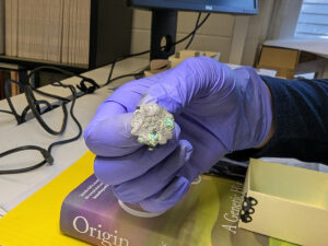 Associate Curator Janene Johnston holds a copper alloy decorative mount found during the Seawall excavations.