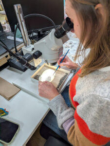 Collections Assistant Lindsay Bliss sorts through the light fraction of objects from Pit 5.