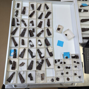 Some of the iron bandolier bottles, caps, and bases in the Jamestown collection