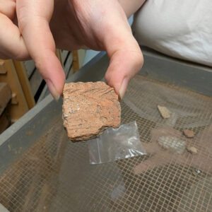 A rim sherd of Native ceramic. This is the only piece in the Jamestown collection bearing this pattern.