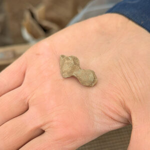 A lead seal found in the North Church excavations this month. It's hard to make out any details currently but it's possible some may come to light during conservation.