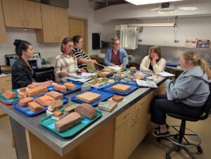 The curatorial staff is taught about architectural materials by Assistant Curator Lauren Stephens.