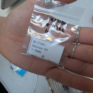 Tiny clam shell beads found in the fort's first well