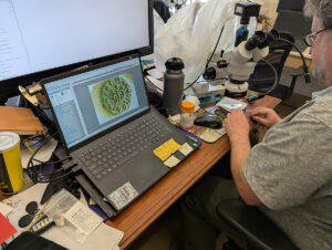 Senior Conservator Dr. Chris Wilkins adjusts the Charles I farthing under a stereo microscope as a real-time image is displayed on his screen.