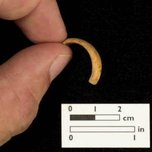 hand holding a fragment of an ivory ring