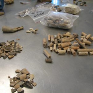 Groups of clay pipe fragments on a lab table
