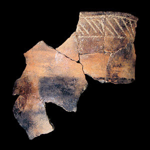 Mended sherds of a Native American pot