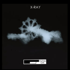 Radiograph of iron spur neck and rowel