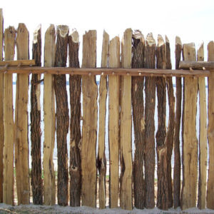 a wall of upright timbers