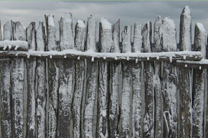 Snow-covered palisade