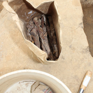 iron stakes in a paper bag