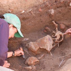 Two archaeologists use picks to excavate several sword hilts
