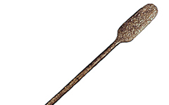 spatulum mundani