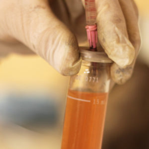 Pipette being inserted into a bottle of orange-colored solution