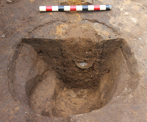 Bisected posthole with half of a buried glass vessel visible in the feature wall