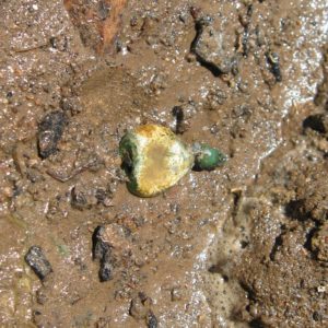 Heart-shaped bead in situ