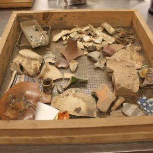 Ceramic sherds in a tray