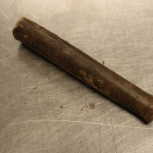 Virginia Indian pipe