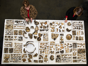 The collection of native artifacts in the Jamestown Rediscovery Project,