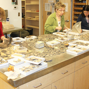 three women working at a table covered in Virginia Indian pottery sherds
