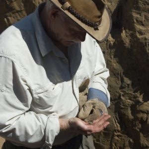 Archaeologist examines a coin