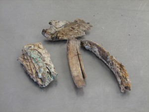Four wood fragments