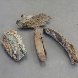 Four wood fragments