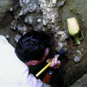 Excavation of the Surrey-Hampshire Border Ware drinking jug