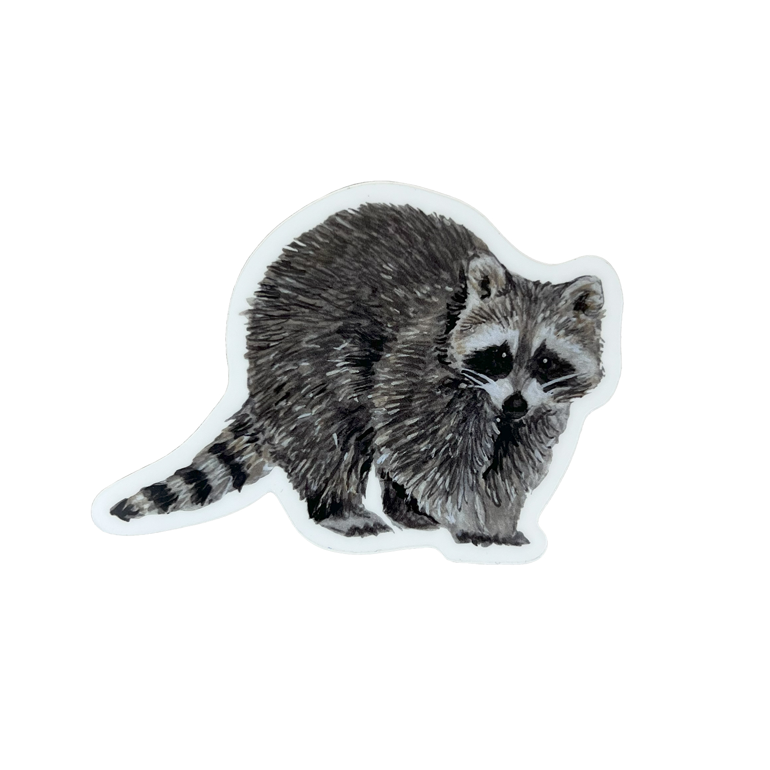 Raccoon Pack Sticker for Sale by lmmanning