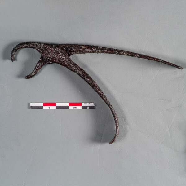 Tooth Puller Historic Jamestowne