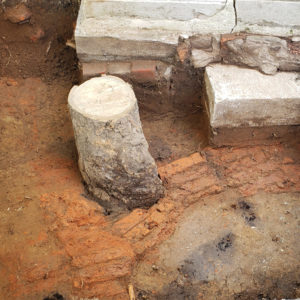 Tree limb embedded into an exposed segment of a brick path within an excavation unit
