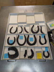 Horseshoes from the Jamestown reference collection