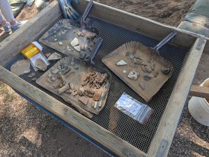 A tray of artifacts from the excavations near the Seawall