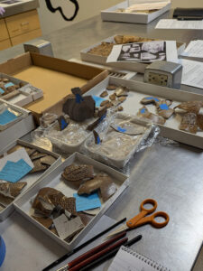 Pieces of a Bartmann jug that Assistant Conservator Jo Hoppe is mending together