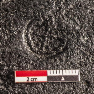 Quartered circle with three pellets within each quarter (6144-JR) Quartered circle with three pellets within each quarter (6144-JR)