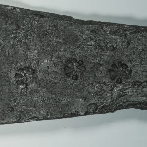 Eight-spoked wheel or eight-petaled flower (chrysanthemum?) stamped three times (4880-JR) Eight-spoked wheel or eight-petaled flower (chrysanthemum?) stamped three times (4880-JR)