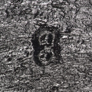 Letter 'B' or numeral 8 (5716-JR) Letter 'B' or numeral 8 (5716-JR)