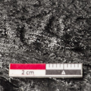 Four-petaled flower struck on both sides (5860-JR) Four-petaled flower struck on both sides (5860-JR)